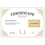 Salawat Of Shifa (Cure)