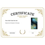 Ones Allah Does Not Like