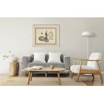 Basmalah And The Verse Of Evil Eye