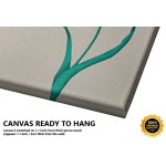 Allah (C.C) Allah (C.C)