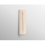 The Text Written In Alif