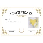 Allah (C.C) Allah (C.C)