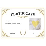 Allah (C.C) Allah (C.C)