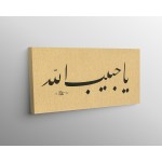 Ya Habibullah Ya Habibullah